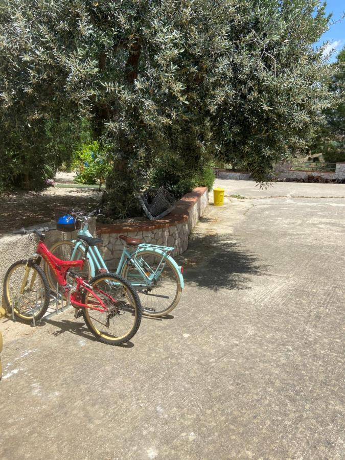 Ioppolo GiancaxioLa Casa Di Gioggioアパートメント エクステリア 写真
